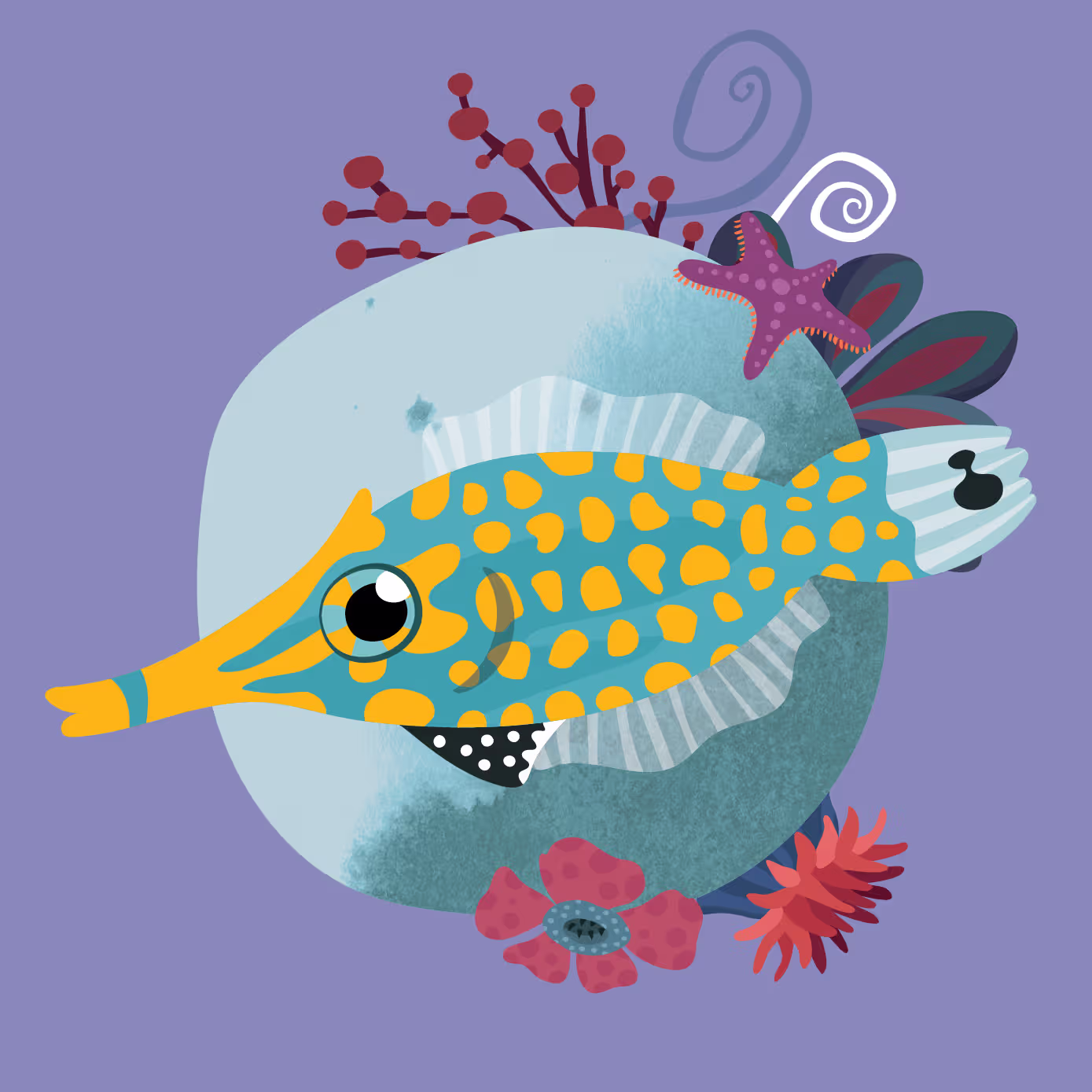 A file fish from the catalogue of my favourite sea creatures